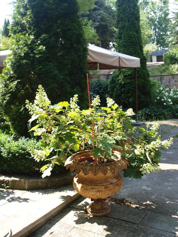 Pension Zur Koeniglichen Ausspanne Drezda Kültér fotó